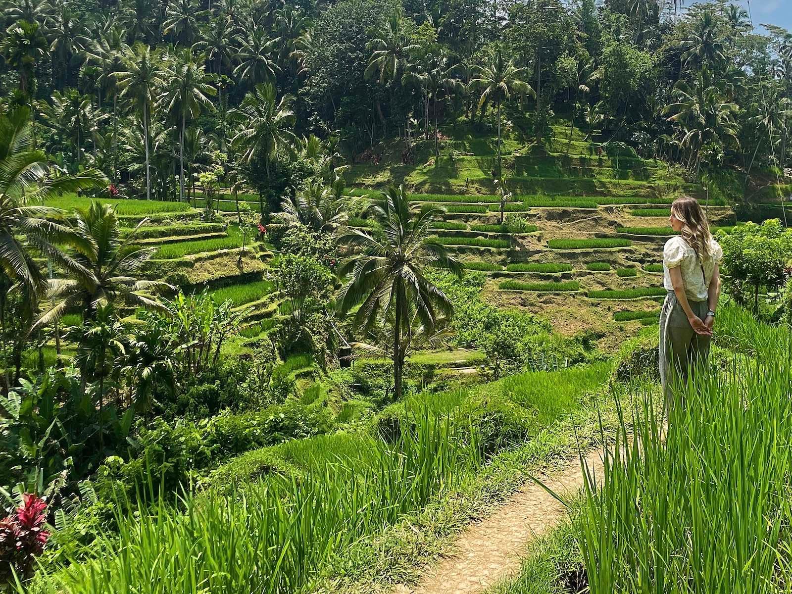 woman standing in bali rice fields