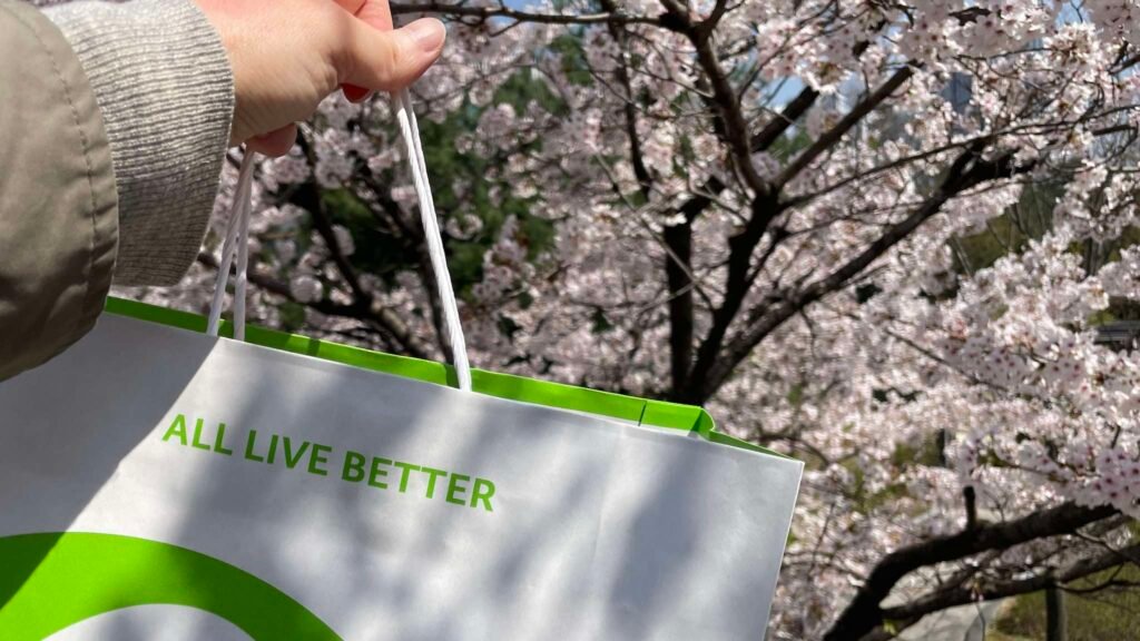 Under Seoul Skies, in Petals olive young shopping bag against cherry blossoms in spring seoul